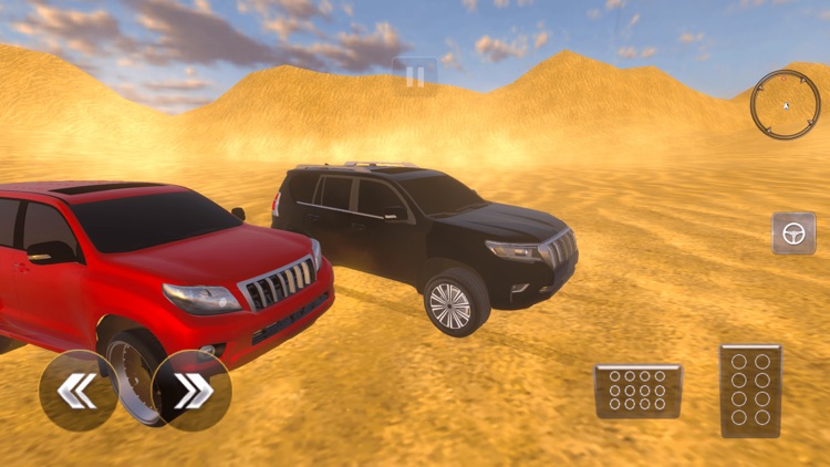 Luxury LX Prado Desert Driving