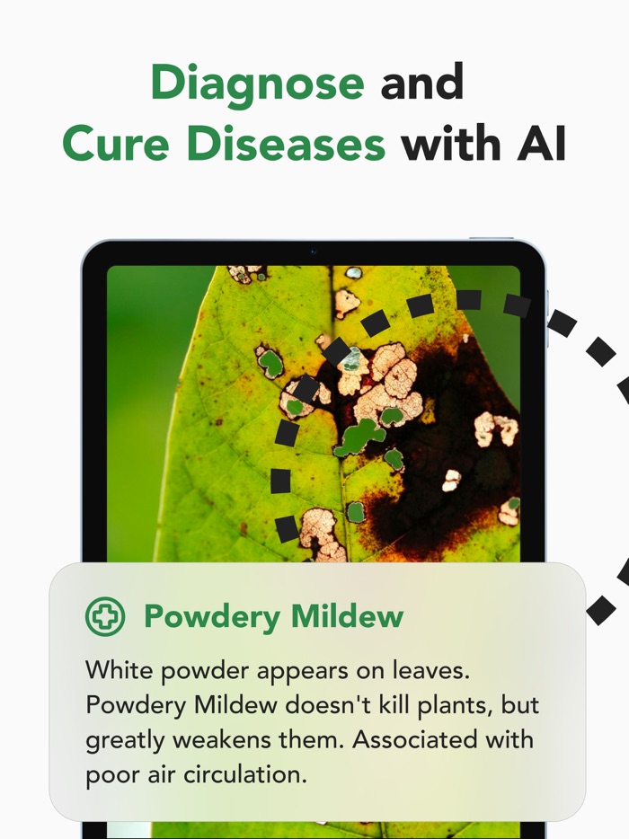 Plant Identifier, Health, Care