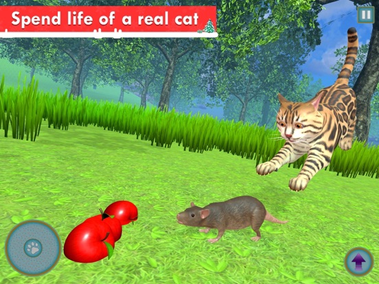 My Cat: Virtual Cat Simulator iPad screenshot 4 - Games app