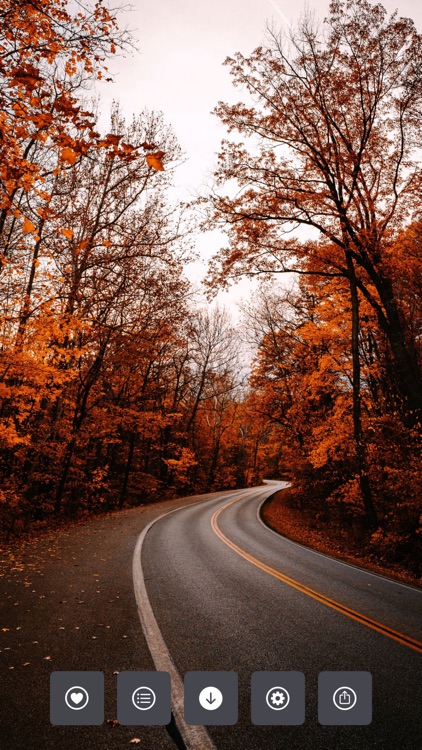 Wallpapers for your phone