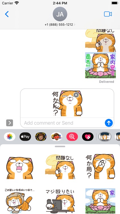 ランラン猫 23 (JPN)