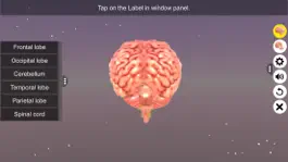 Game screenshot Human Brain hack