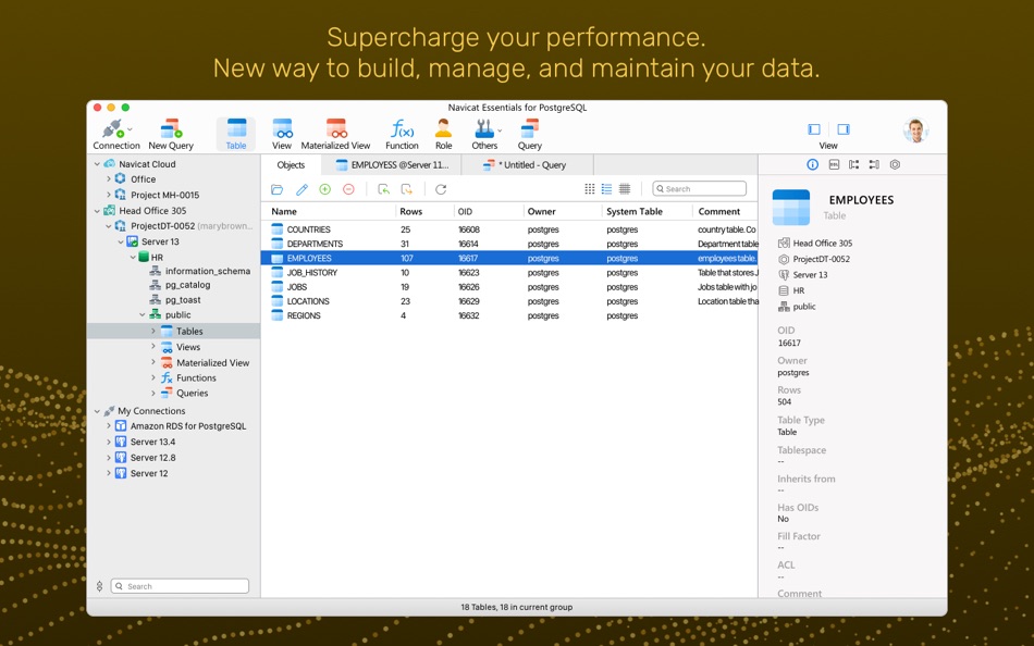 Navicat Ess 16 for PostgreSQL - 16.3.7 - (macOS)