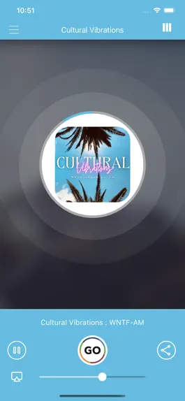 Game screenshot Cultural Vibrations apk