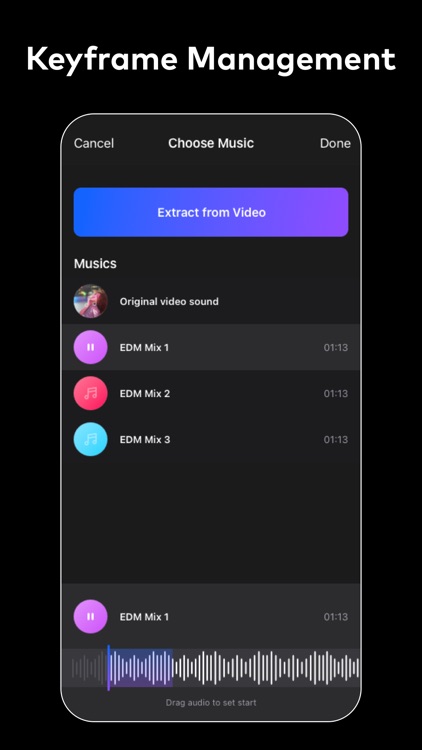 Ivy Professional Video Editor screenshot-3