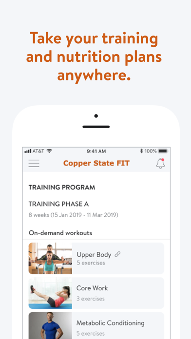 Copper State FIT Screenshot