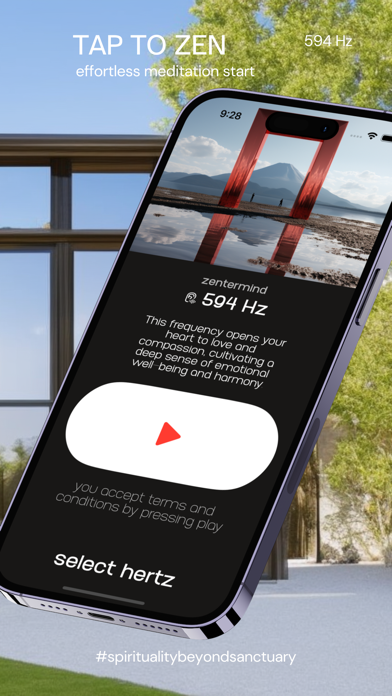 zentermind Screenshot