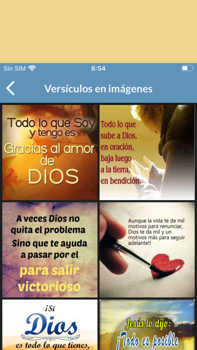 Biblia NVI en Español Screenshot