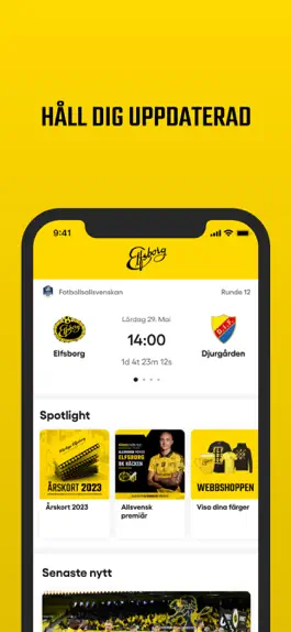 Game screenshot Elfsborg hack