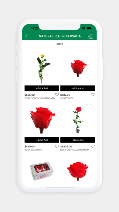 OASIS® Floral México Screenshot