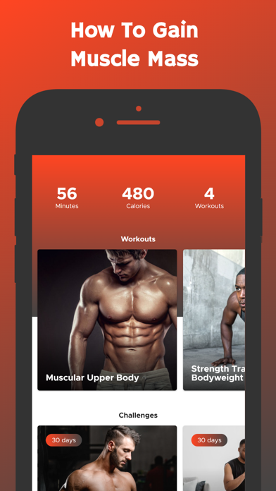 Gain Muscle Mass Screenshot