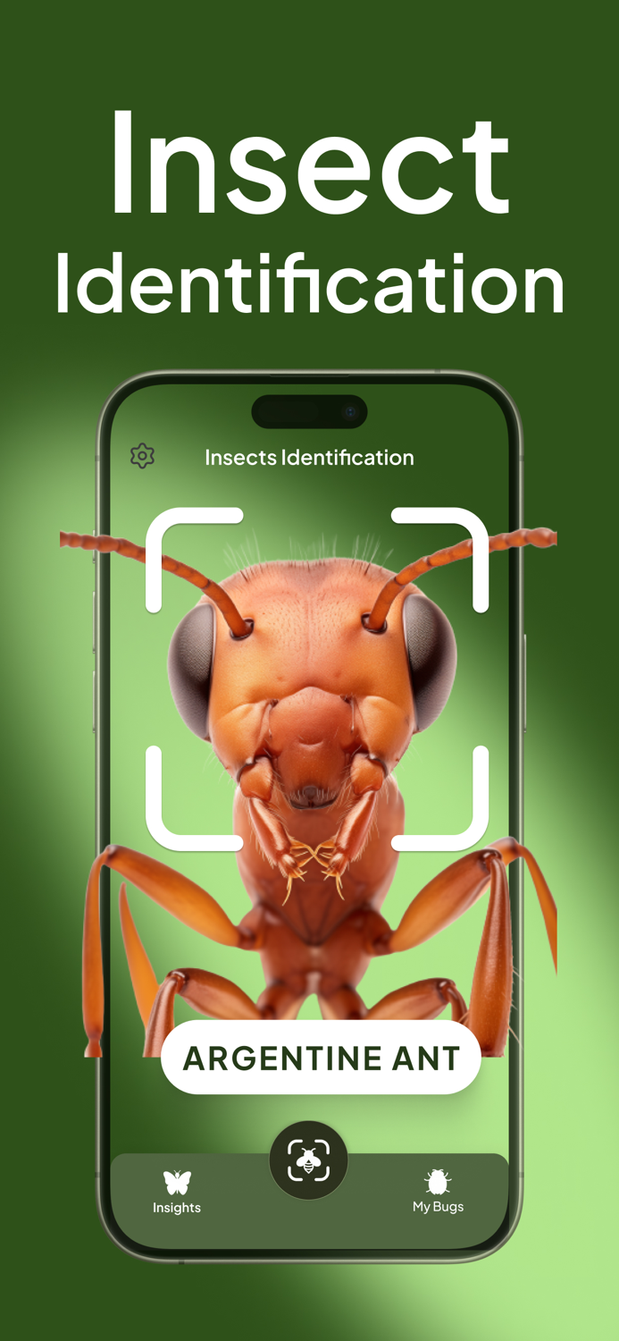 Bug Insect Identification