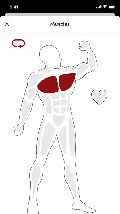 MESFI FITNESS screenshot-3