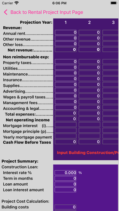 Real Estate Project Analysis Screenshot