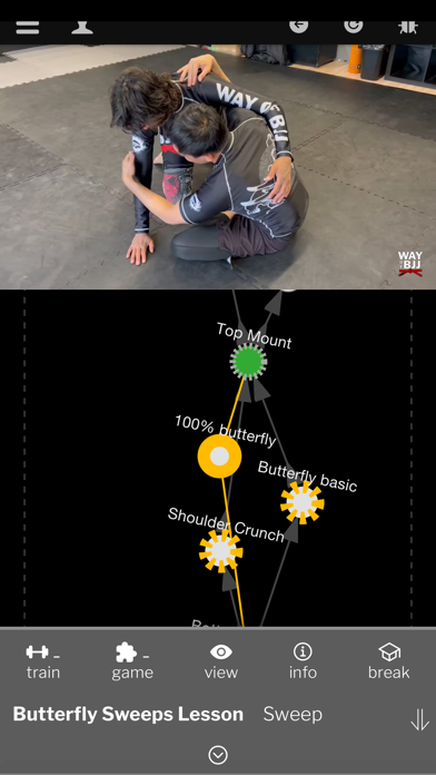 WayOfBJJ Screenshot