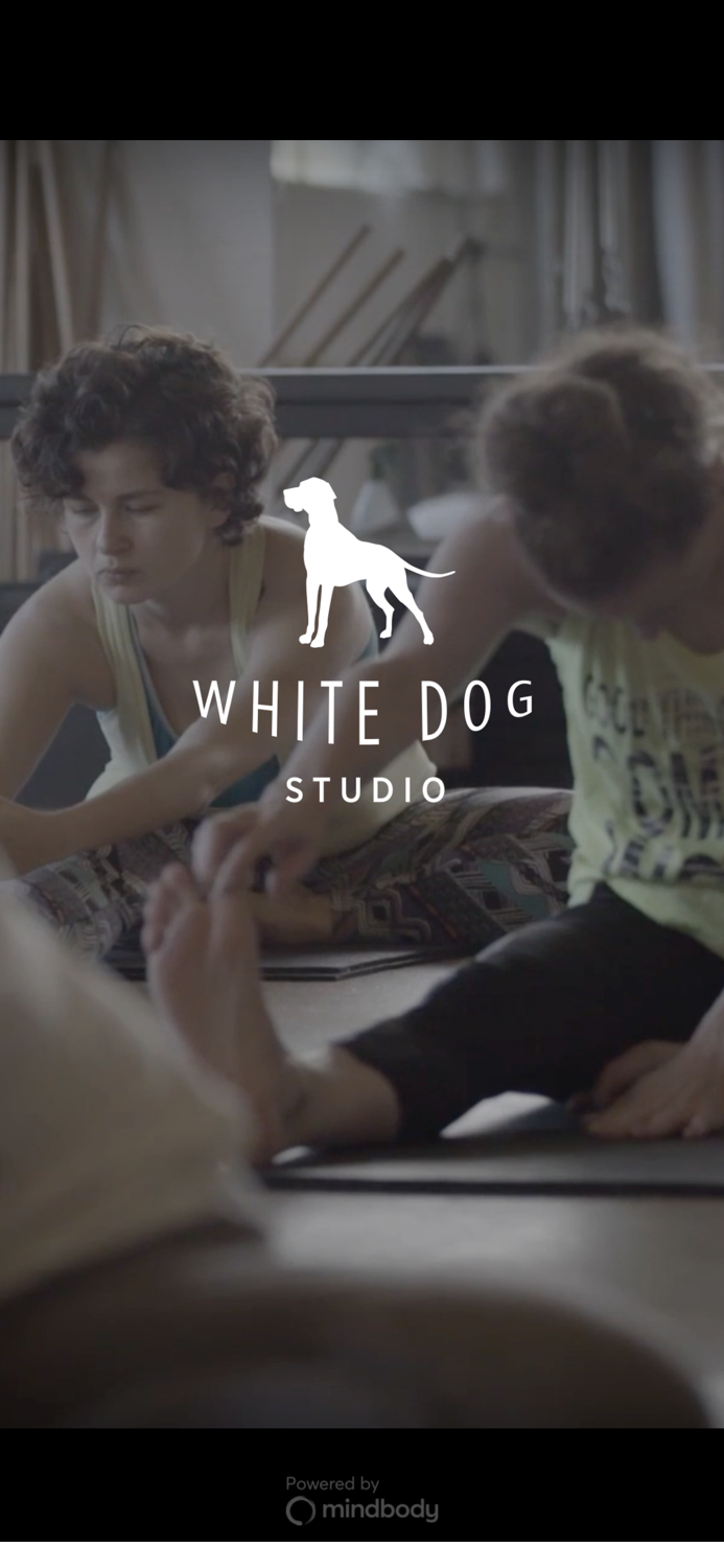 White Dog Studio