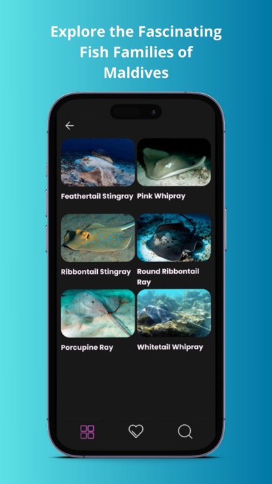 Screenshot #3 pour Maldivian Fish Guide