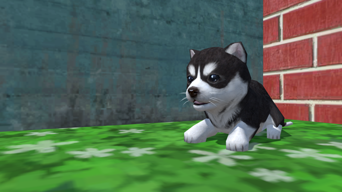 Cute Pocket Puppy 3D