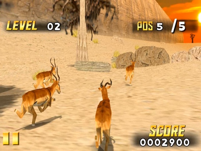 ‎Savanna Race
