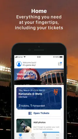 Game screenshot MLB Ballpark apk