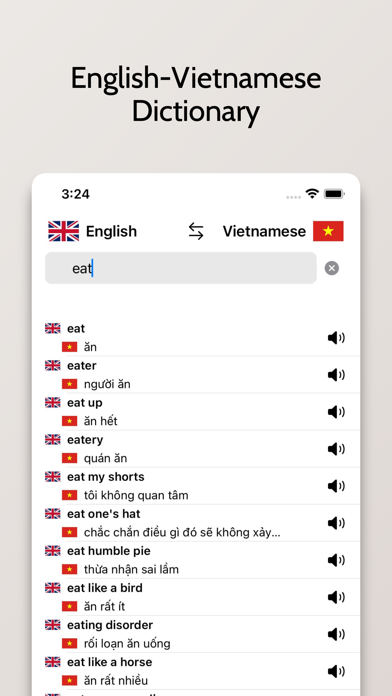 Vietnamese/English Dictionary Screenshot