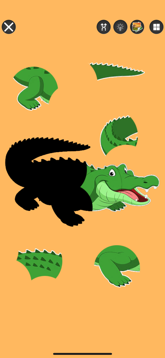 Bird and Animal Puzzle