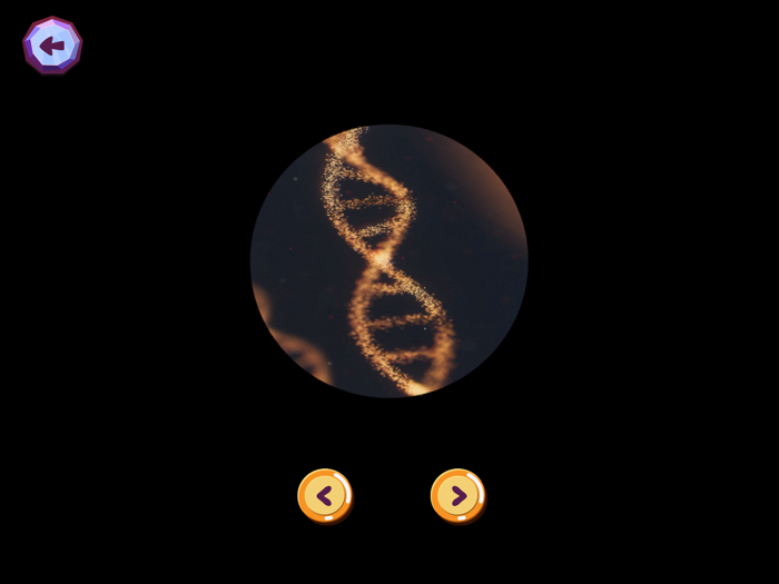 My Room Exploration Game