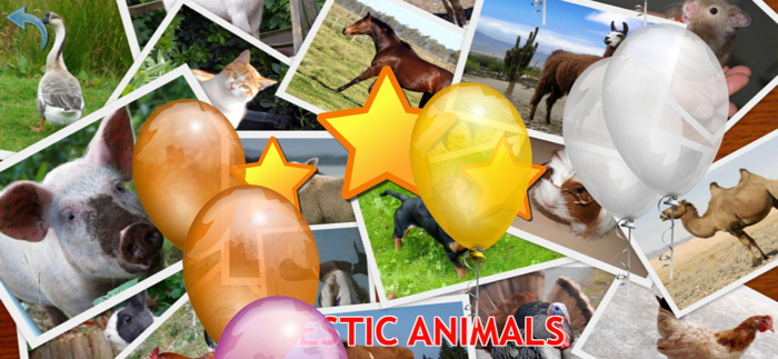 Animals for Kids toddler game