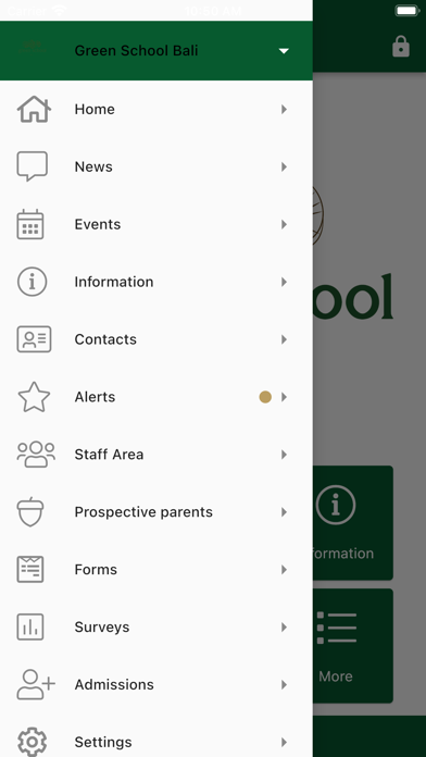 Green School Bali Screenshot
