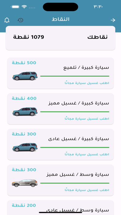 PurenesS car wash Screenshot