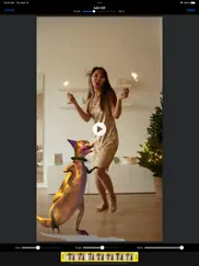 add gif to video and photo ipad bildschirmfoto 1