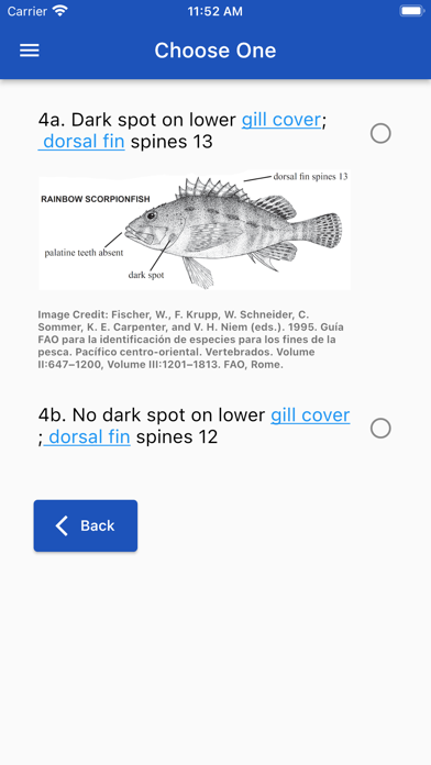 West Coast Fish ID Screenshot