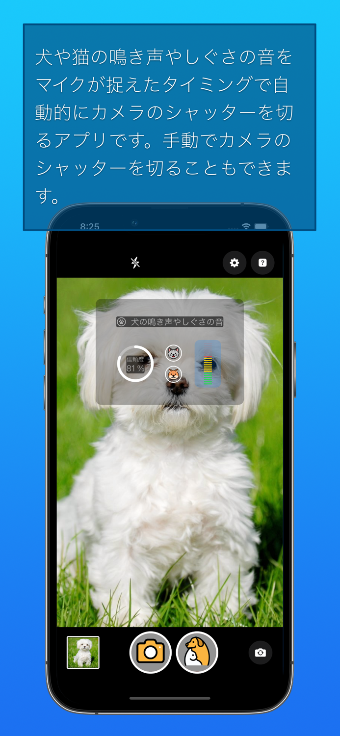 わんにゃんカメラ