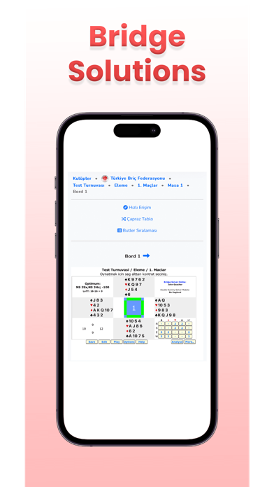 Bridge Solutions Screenshot