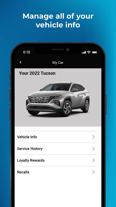Team Hyundai Advantage Screenshot