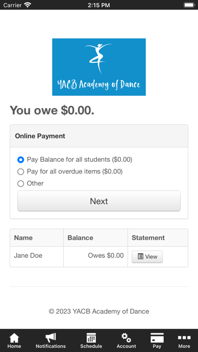 YACB Academy of Dance Screenshot