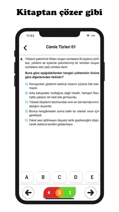 10.Sınıf Tüm Dersler Screenshot