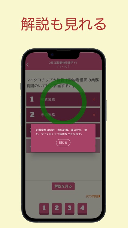 愛玩動物看護師 問題集アプリ 〜愛玩動物看護師国家試験対策〜 screenshot-4