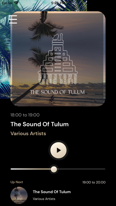 Downtown Tulum Radio Screenshot
