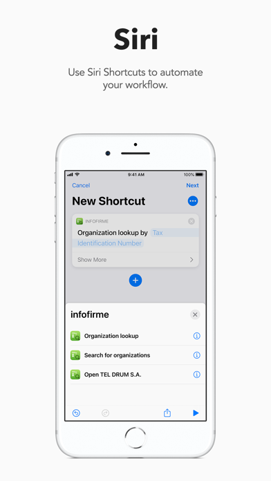 infofirme X — Company Info Screenshot