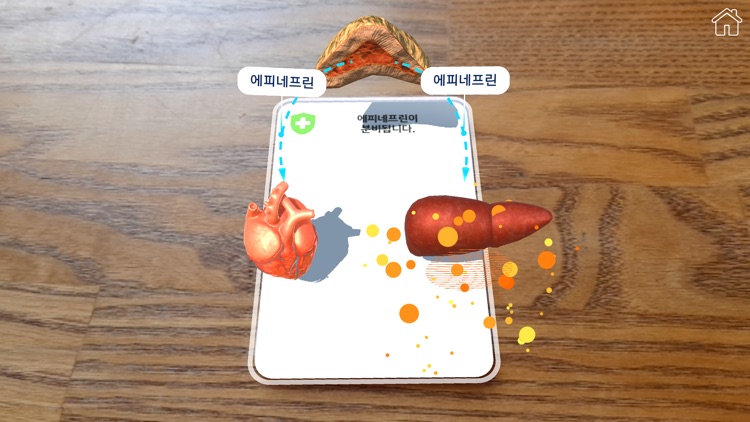 AR 항상성 실험실 screenshot-4