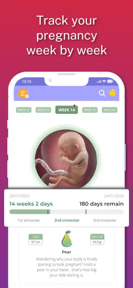 Game screenshot Pregnancy Tracker-Week By Week hack