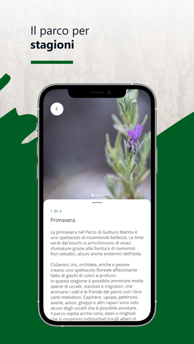 Parco Naturale Gutturu Mannu Screenshot