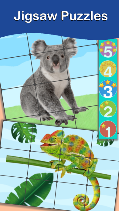 Animals Cards : Learn English Screenshot