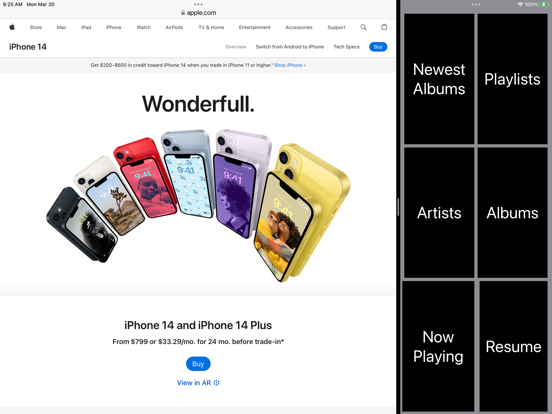 One Big Player iPad screenshot 1 - Music app
