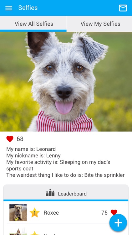 Prima Vista Animal Hospital screenshot-3