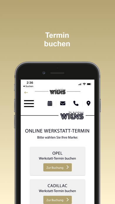 Autohaus Wiens Screenshot