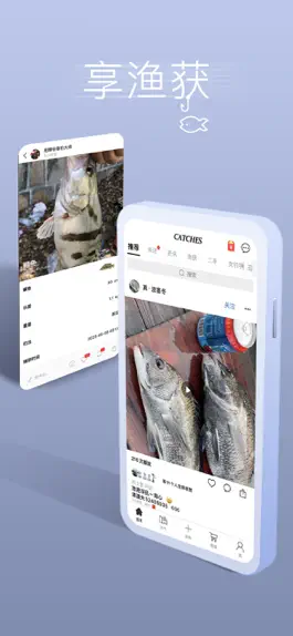 Game screenshot Catches - Fishing Expert mod apk