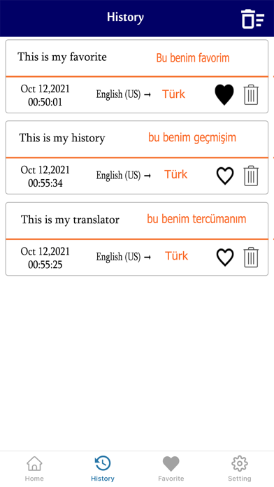 English To Turkish Translation Screenshot
