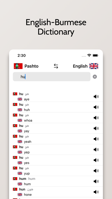 Burmese-English Dictionary Screenshot